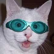 Profile Picture of Chris Rubio (@chrisrubio6659) on Youtube