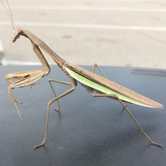 Tracie Shafer - Poshmark Profile Picture of Tracie Shafer (@tracieshafer) on Poshmark