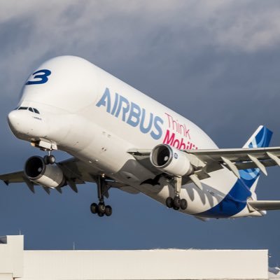 Profile Picture of Daniel Grotheer (@thedingspotter) on Twitter