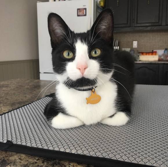 Profile Picture of Susan Asquith (@susanasquith) on Poshmark