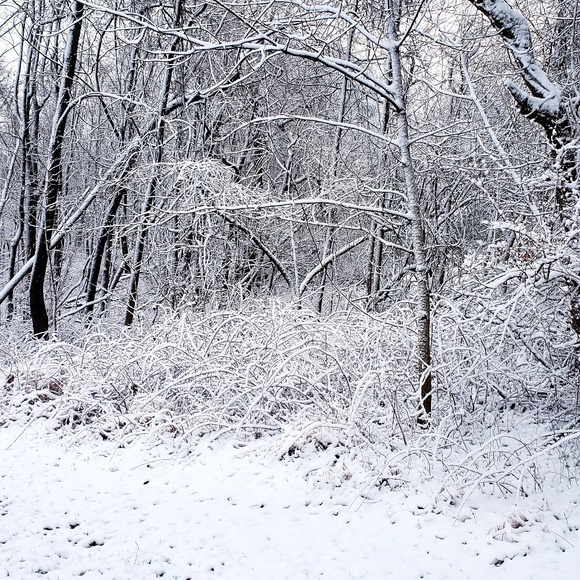 Profile Picture of Jean Cressman (@jeanmc69) on Poshmark