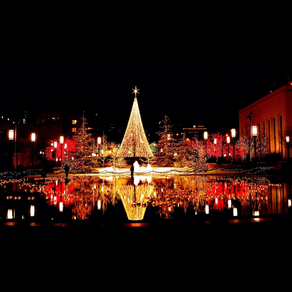 Profile Picture of Miseong Kim (@mkim2) on Poshmark