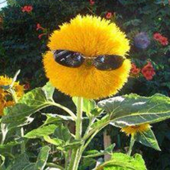 Profile Picture of Jessica Volkmann (@jesslovesposh) on Poshmark