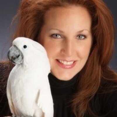 Profile Picture of Lara Joseph (@ABCLaraJoseph) on Twitter