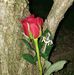 Profile Picture of Miguel James (@miguel.james.1614) on Facebook