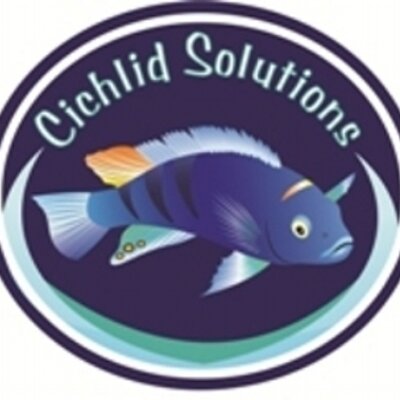 Profile Picture of Mark Snead (@cichlidsolution) on Twitter