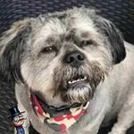 Profile Picture of Richard Tony (@richard_tony_.chenchy) on Instagram