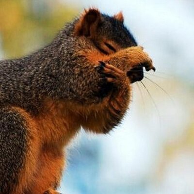 Profile Picture of Jack Kellerman (@_JRKell_) on Twitter