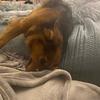 Profile Picture of Christy Poole (@@christypoole1) on Tiktok