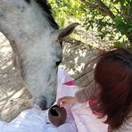 Profile Picture of Jacqueline Fox (@jacqueline.fox) on Facebook