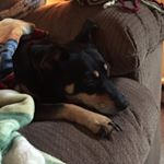 Profile Picture of Michael Morabito (@mikeyboy327) on Instagram