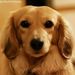 Profile Picture of Srini Kumar (@kumar4882) on Pinterest