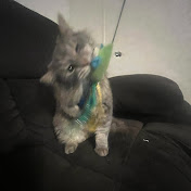 Profile Picture of Katelyn Howell (@katelynhowell2695) on Youtube