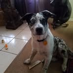 Profile Picture of Richard W Vining III (@richardw.viningiii) on Facebook