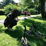 Profile Picture of Tobey Tam (@tobey0421) on Instagram