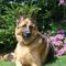 Profile Picture of Janet Wetzel (@janet.wetzel.12) on Facebook