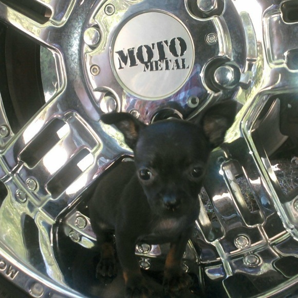 Profile Picture of Brianna Crain (@briannacrain) on Poshmark