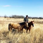 Profile Picture of Dylan Raines (@die_laann) on Instagram