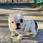 Profile Picture of Jose Nolazco (@jose.nolazco.0589) on Instagram