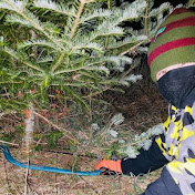 Profile Picture of Chris McMurray (@chrismcmurray5278) on Youtube