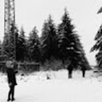 Profile Picture of Lorraine Higgins (@lorraine-higgins-23) on Quora