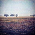 Profile Picture of Jason N Beth Sherrick (@lovinus_2014) on Instagram