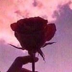 Profile Picture of Sean (@sean._.gagnon._) on Instagram