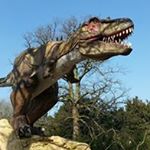 Profile Picture of mark ramsden (@ramsden_mark) on Instagram