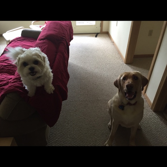 Profile Picture of Katie Julka (@kjulka) on Poshmark