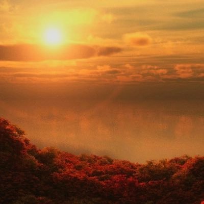 Profile Picture of Corey Bannister (@Delante_2000) on Twitter