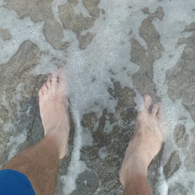 Profile Picture of Sauver Les Animaux (@franz_kappel) on Twitter