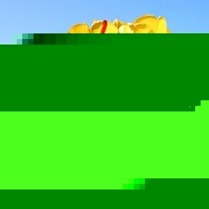 Profile Picture of Fahimah Kamal (@356908989) on Myspace