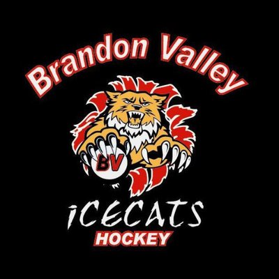 Profile Picture of Brandon Valley Kraft HockeyvilleUSA #2018 (@Sarah96534167) on Twitter