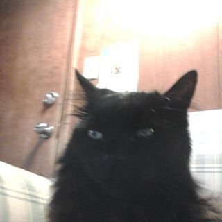 Profile Picture of Brian Wickersham (@Brian-Wickersham) on Facebook