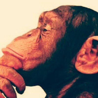 Profile Picture of Karl Schröder (@Diego_Puerta) on Twitter