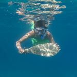 Profile Picture of Alex Bartoš (@alexbartos222) on Instagram