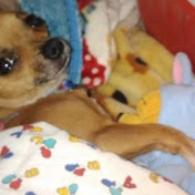 Profile Picture of Edward Ignacio (@edwardignacio6098) on Youtube