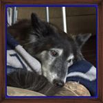 Profile Picture of Beverly Brower (@browerbeverly) on Instagram