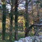 Profile Picture of Kimberly Prokoshyn (@innerworldmusing) on Instagram