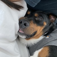 Profile Picture of John E Chumacera (@john-e-chumacera) on Quora