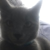 Profile Picture of Charlene Holmes (@@user589649177710) on Tiktok