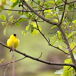 Profile Picture of Ursula Ansbach (@ursulaansbach) on Flickr