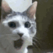 Profile Picture of Damian Hoffman (@damianhoffman3759) on Youtube