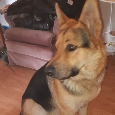 Peter Brothers - Twitter Profile Picture of Peter Brothers (@PeterBrothers5) on Twitter