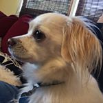 Profile Picture of Kevin Bacon (@kevinbaconkostal) on Instagram