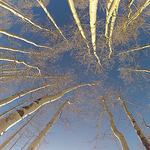 Profile Picture of Stephanie Mack (@bohemianspirit92614) on Flickr