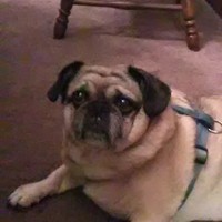 Profile Picture of Paul Pruett (@paul-pruett-10) on Quora