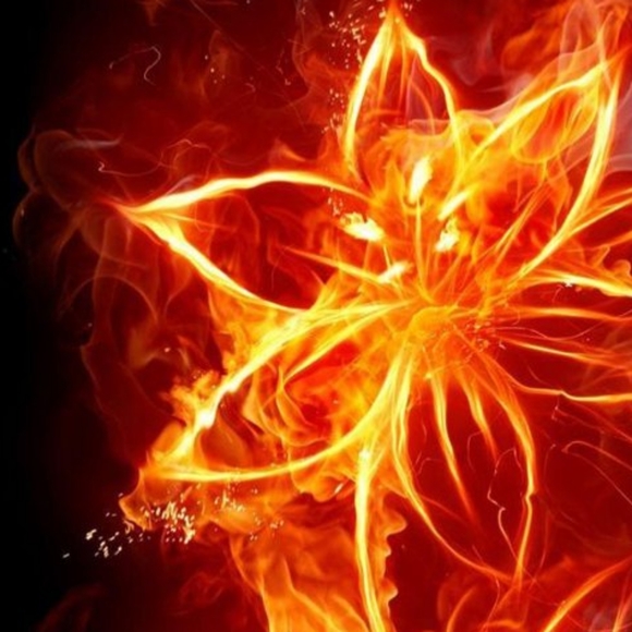 Laura Bauswell - Poshmark Profile Picture of Laura Bauswell (@l_hershman) on Poshmark