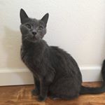 Zane Martinez - Instagram Profile Picture of Zane Martinez (@zane_martinez143) on Instagram