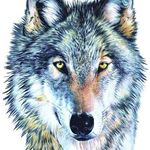 Profile Picture of Brian Rummel (@brian.rummel.58) on Instagram